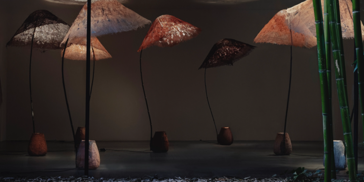 Aki+Arnaud Cooren: Komorebi